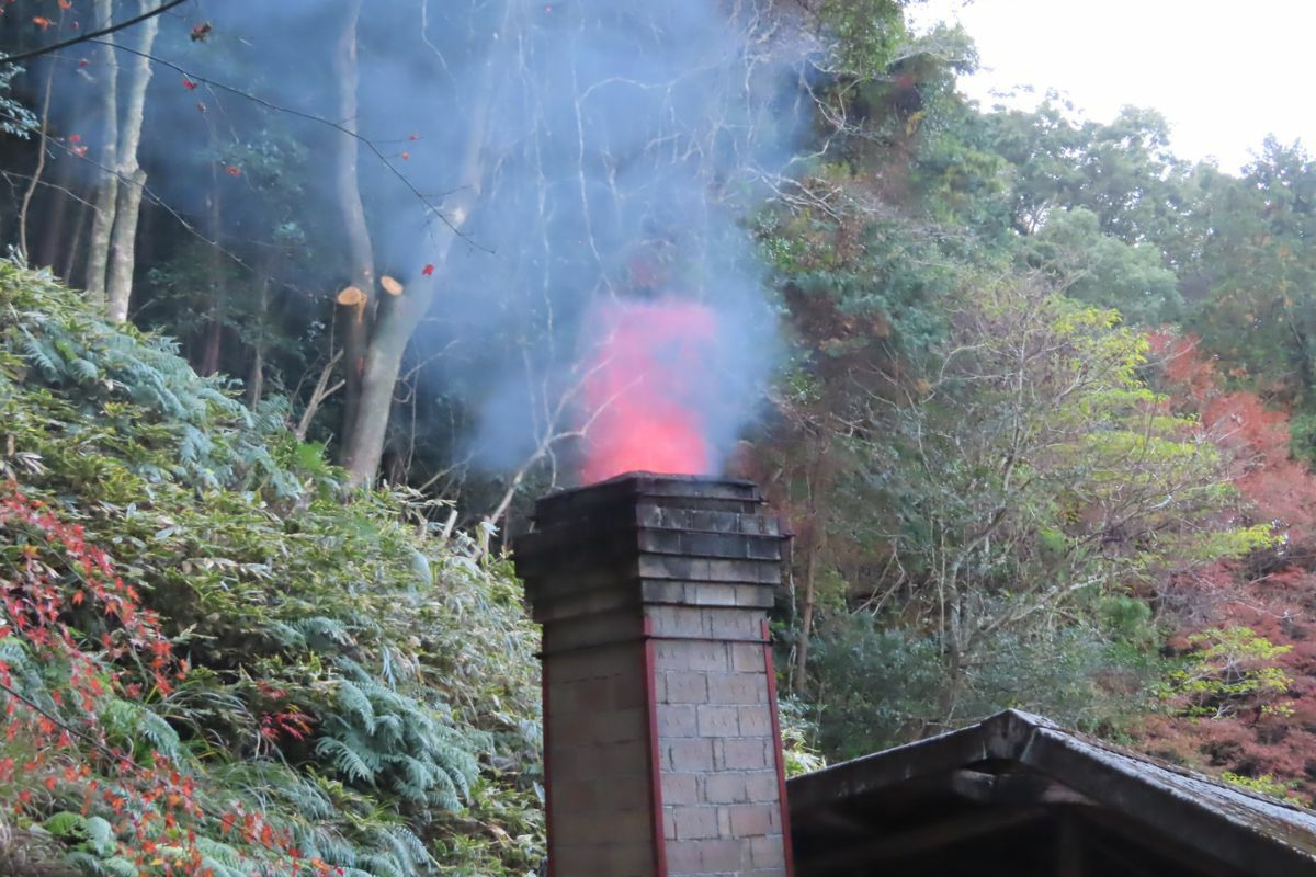 23谷窯芙蓉手 五寸皿 | 有田焼 深川製磁｜公式オンラインストア
